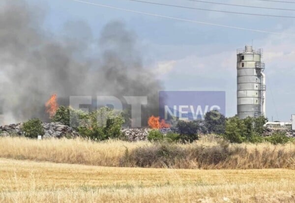 Φωτιά τώρα σε εργοστάσιο ξυλείας στις Σέρρες