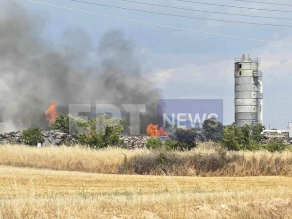 Φωτιά τώρα σε εργοστάσιο ξυλείας στις Σέρρες