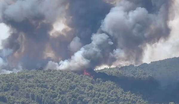 Χαλκιδική: Βελτιωμένη η εικόνα της φωτιάς στη Βουρβουρού 
