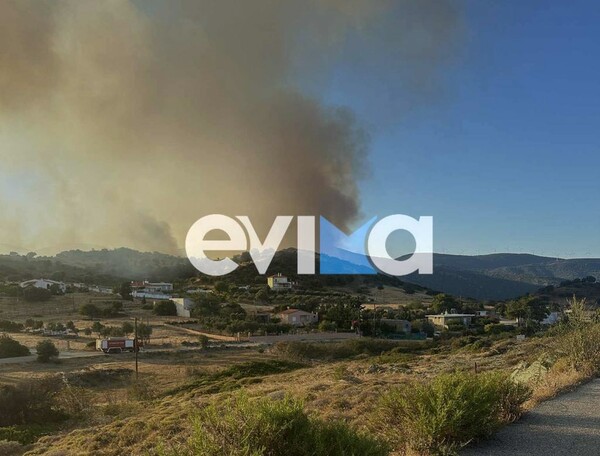 Φωτιά στην Εύβοια: Πλησιάζει τα πρώτα σπίτια - Μήμυμα από το 112