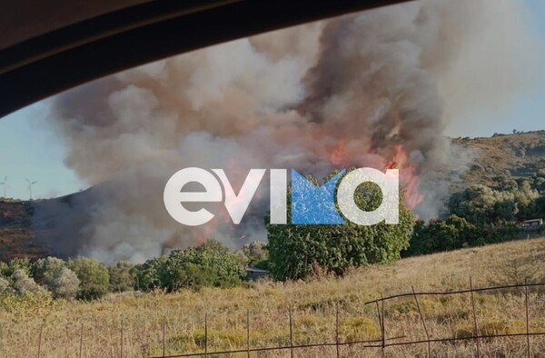 Φωτιά στην Εύβοια: Πλησιάζει τα πρώτα σπίτια - Μήμυμα από το 112