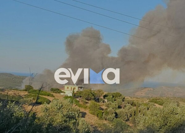 Φωτιά στην Εύβοια: Πλησιάζει τα πρώτα σπίτια - Μήμυμα από το 112