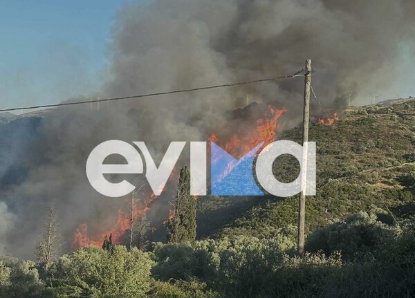 Φωτιά στην Εύβοια: Πλησιάζει τα πρώτα σπίτια - Μήμυμα από το 112