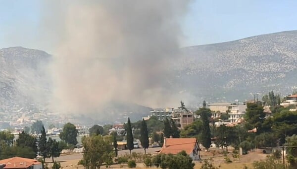 Φωτιά στην Αλυκή Βοιωτίας: «Προλάβαμε τα χειρότερα» - Εκτός κινδύνου ο οικισμός