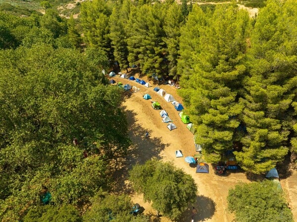 Φεστιβάλ Ελάτειας: Εκεί που η μουσική στήνει φωλιά κάτω απ’ τα πλατάνια εδώ και 12 χρόνια
