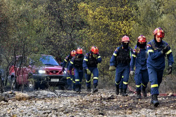 Antinero: Καταγγελία-μαμούθ για το μεγαλύτερο πρόγραμμα δασικής πρόληψης
