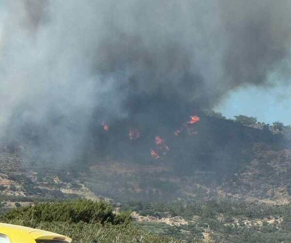 Φωτιά τώρα στις Οινιάδες Αιτωλοακαρνανίας - Καίγεται δάσος