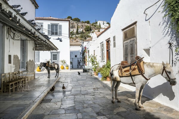 48 ώρες στην Ύδρα