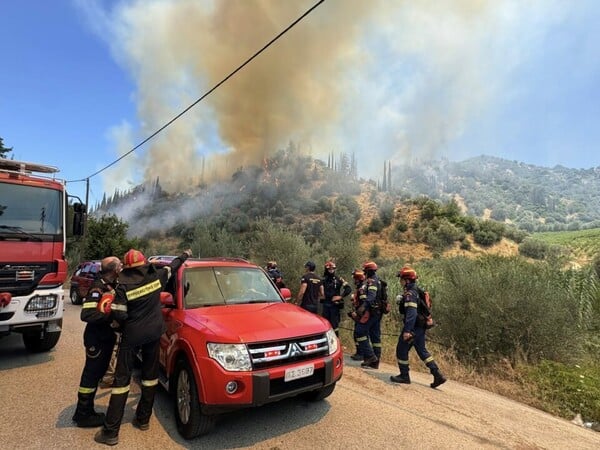 Μεγάλη φωτιά στο Αίγιο: Ισχυρές δυνάμεις της Πυροσβεστικής στις Νερατζιές - Σηκώθηκαν 5 εναέρια μέσα