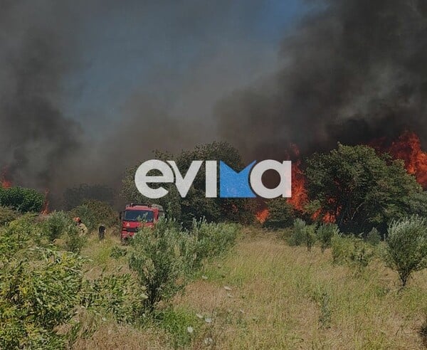 Φωτιά τώρα στο Αλιβέρι Ευβοίας - Ήχησε το 112