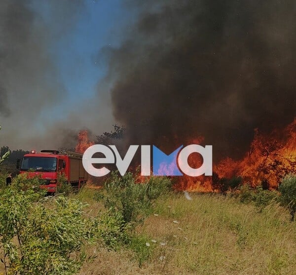 Φωτιά τώρα στο Αλιβέρι Ευβοίας - Ήχησε το 112