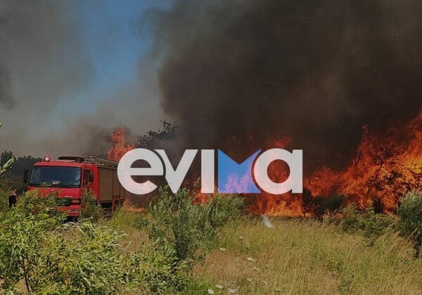 Φωτιά στο Αλιβέρι: «Η φωτιά είναι κοντά σε σπίτια» λέει ο αντιδήμαρχος