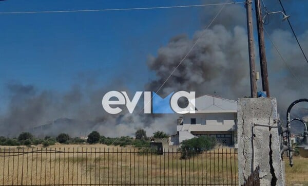 Φωτιά στο Αλιβέρι: Μεγάλη επιχείρηση κατάσβεσης - «Οι φλόγες είναι 30 μέτρα μακριά» λέει ο αντιδήμαρχος