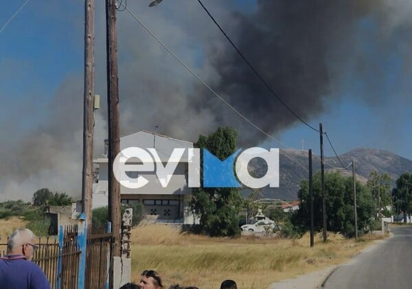 Φωτιά στο Αλιβέρι: Μεγάλη επιχείρηση κατάσβεσης - «Οι φλόγες είναι 30 μέτρα μακριά» λέει ο αντιδήμαρχος