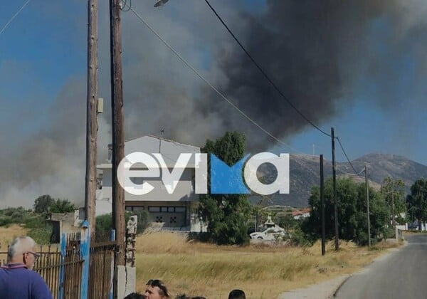 Φωτιά στο Αλιβέρι: Ελεύθερος ο 60χρονος - Παραδέχτηκε την πράξη του