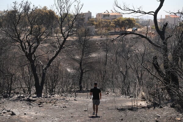 Meteo: Έως και 10 βαθμούς αυξημένη η θερμοκρασία στην επιφάνεια των καμένων εδαφών