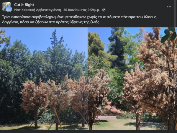 Πώς ξεραίνεται το πράσινο της Αθήνας και ποιοι το ποτίζουν