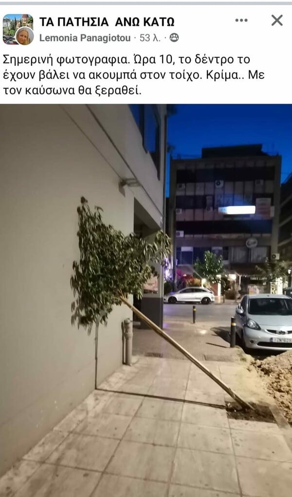 Πώς ξεραίνεται το πράσινο της Αθήνας και ποιοι το ποτίζουν