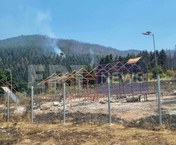 ΦΩΤΙΑ ΣΤΟΝ ΦΕΝΕΟ