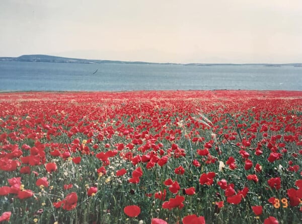 Τα νησιά πριν από τον χαμό