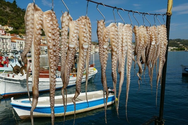 48 ώρες στο Γύθειο