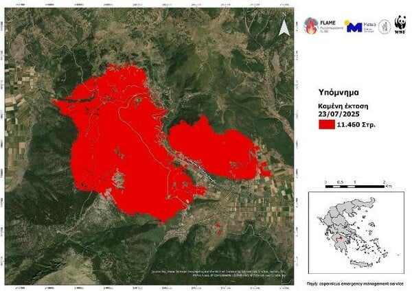 Φωτιά στον Φενεό: «Η σημαντικότερη μέχρι στιγμής οικολογική καταστροφή της φετινής αντιπυρικής περιόδου»