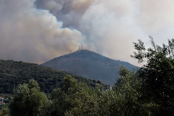 Μεγάλη η φωτιά στη Μεσσηνία - Αναζωπύρωση στην Εύβοια και μήνυμα του 112