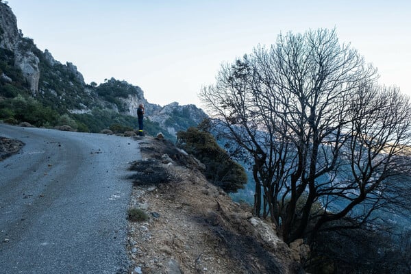 ΦΩΤΙΕΣ ΕΠΟΜΕΝΗ ΜΕΡΑ