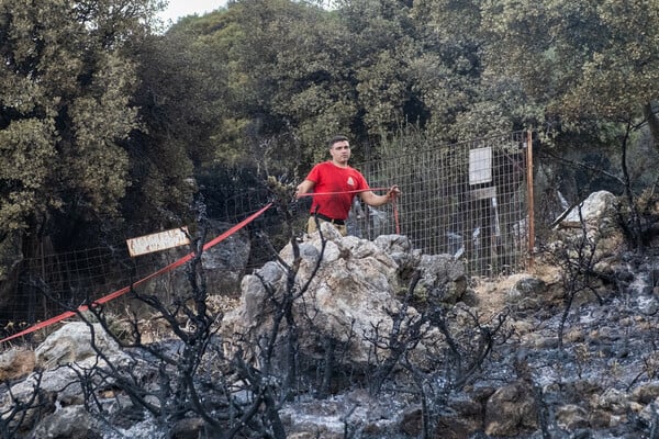 ΦΩΤΙΕΣ ΕΠΟΜΕΝΗ ΜΕΡΑ