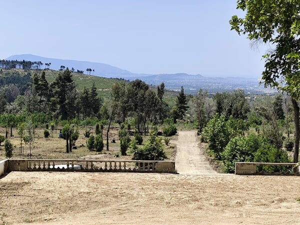 Σε πλήρη εξέλιξη τα έργα στο πρώην βασιλικό κτήμα στο Τατόι