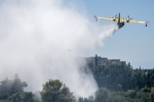 Φωτιά στου Ζωγράφου: Βρέθηκε μπιτόνι με λάδια μηχανής στο δάσος