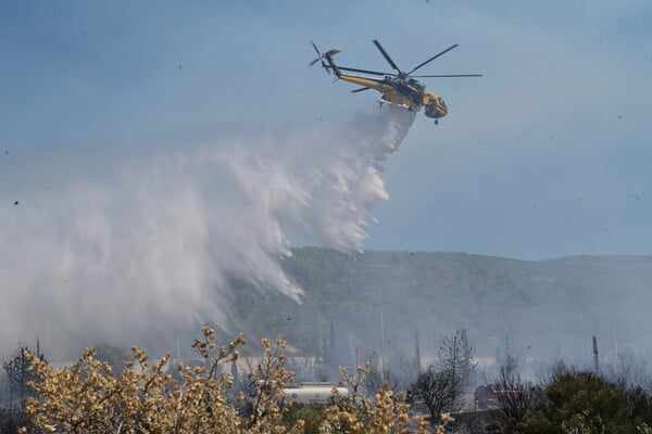 Φωτιές: 55.540 στρέμματα κάηκαν σε Κύθηρα, Εύβοια, Αττική, Χανιά και Μεσσηνία