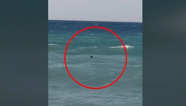 Κρήτη: Σερβιτόρος beach bar βούτηξε και έσωσε λουόμενο που παρασύρθηκε από τα ρεύματα