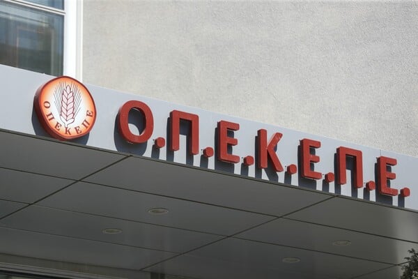 ΟΠΕΚΕΠΕ: Ένοχοι κρίθηκαν οι επτά κατηγορούμενοι για τις παράνομες επιδοτήσεις σε περιοχές του Γράμμου