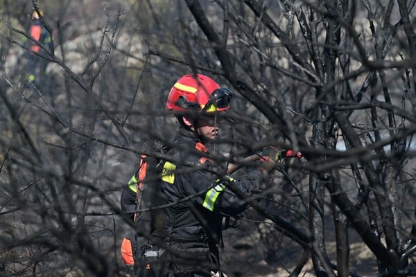 Πολύ υψηλός κίνδυνος πυρκαγιάς σήμερα σε Αττική, Πελοπόννησο, Στερεά Ελλάδα, Κρήτη και Αχαΐα