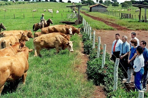 Βραζιλία: Η απειλή Τραμπ για δασμούς 50% σε πορτοκάλια, καφέ και βοδινό φέρνει αναταραχή στους αγρότες