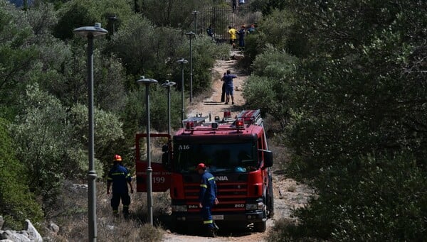 Φωτιά στου Ζωγράφου: Ξεκίνησε από αδήλωτα μελίσσια εντός της Πολυτεχνιούπολης