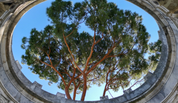 Οι 10 ωραιότεροι μυστικοί κήποι στις μεγάλες πόλεις της Ευρώπης