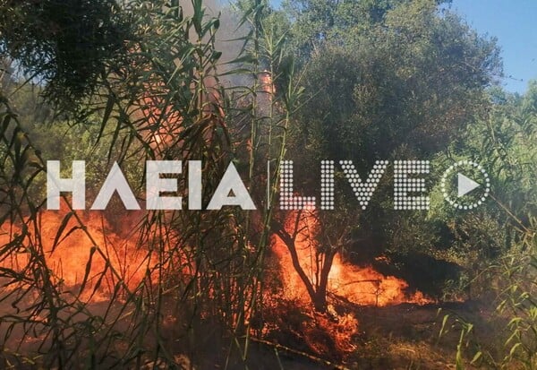 ΦΩΤΙΑ ΤΩΡΑ ΣΤΗΝ ΗΛΕΙΑ