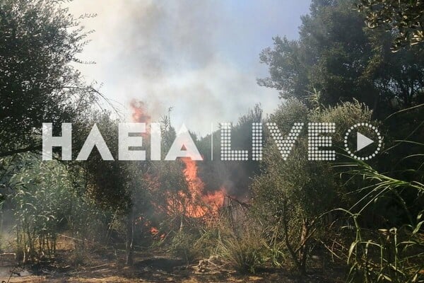 Φωτιά τώρα στην Ηλεία