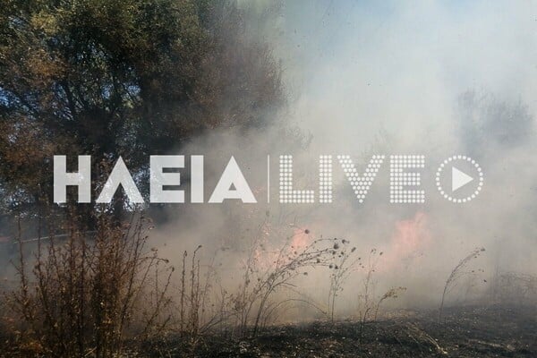 Φωτιά τώρα στην Ηλεία