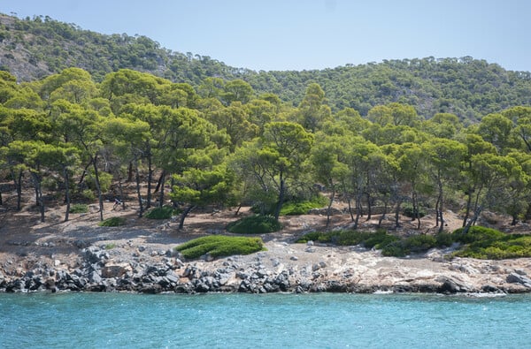 Η Αίγλη στο Αγκίστρι