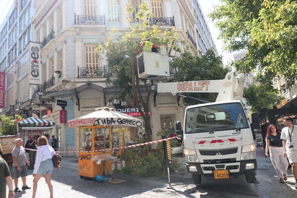 Κλειστός ο Εθνικός Κήπος λόγω των ανέμων - Πτώση δέντρου στην Ερμού