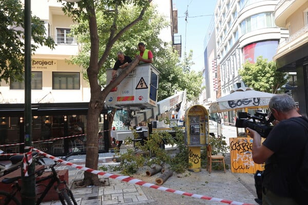Κλειστός ο Εθνικός Κήπος λόγω των ανέμων - Πτώση δέντρου στην Ερμού