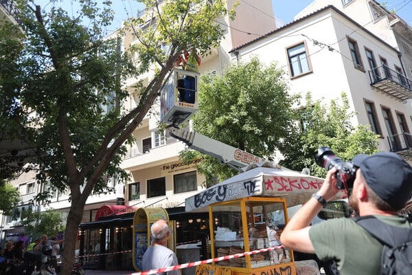 Κλειστός ο Εθνικός Κήπος λόγω των ανέμων - Πτώση δέντρου στην Ερμού