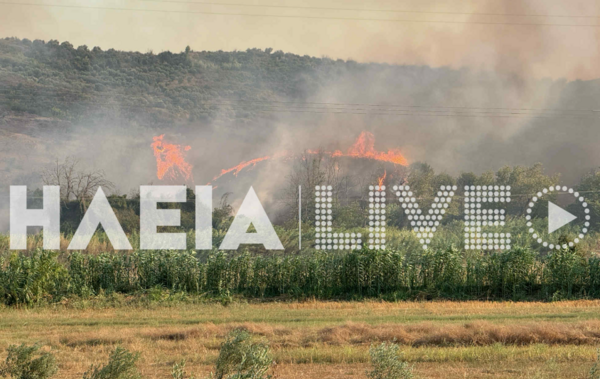 Φωτιά στο Χελιδόνι Αρχαίας Ολυμπίας: Εστάλη 112 - Υπάρχει εγκλωβισμένος σε δυσπρόσιτο σημείο