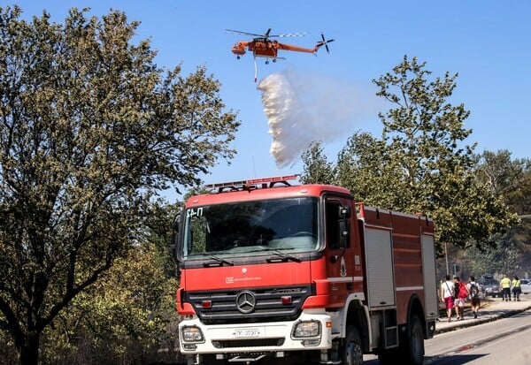 Φωτιά τώρα στα Μέγαρα