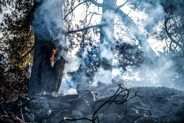 Ηλεία: Εφιαλτικές εικόνες από τη μεγάλη φωτιά στο Χελιδόνι