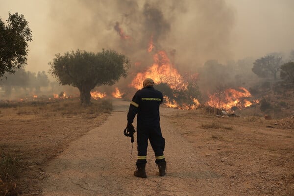Μέγαρα: Συνελήφθη 41χρονος για την πυρκαγιά στο Κουμίντρι – Πρόστιμο 4.125 ευρώ