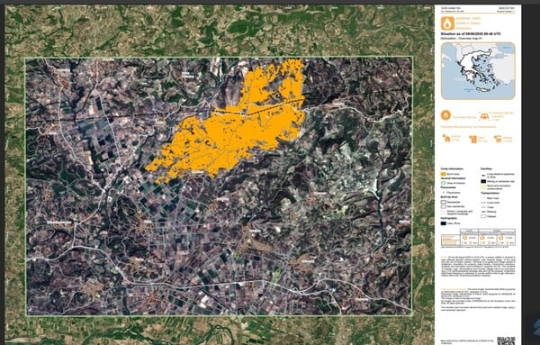 Ηλεία: Σχεδόν 8.000 στρέμματα έγιναν στάχτη από τη μεγάλη πυρκαγιά